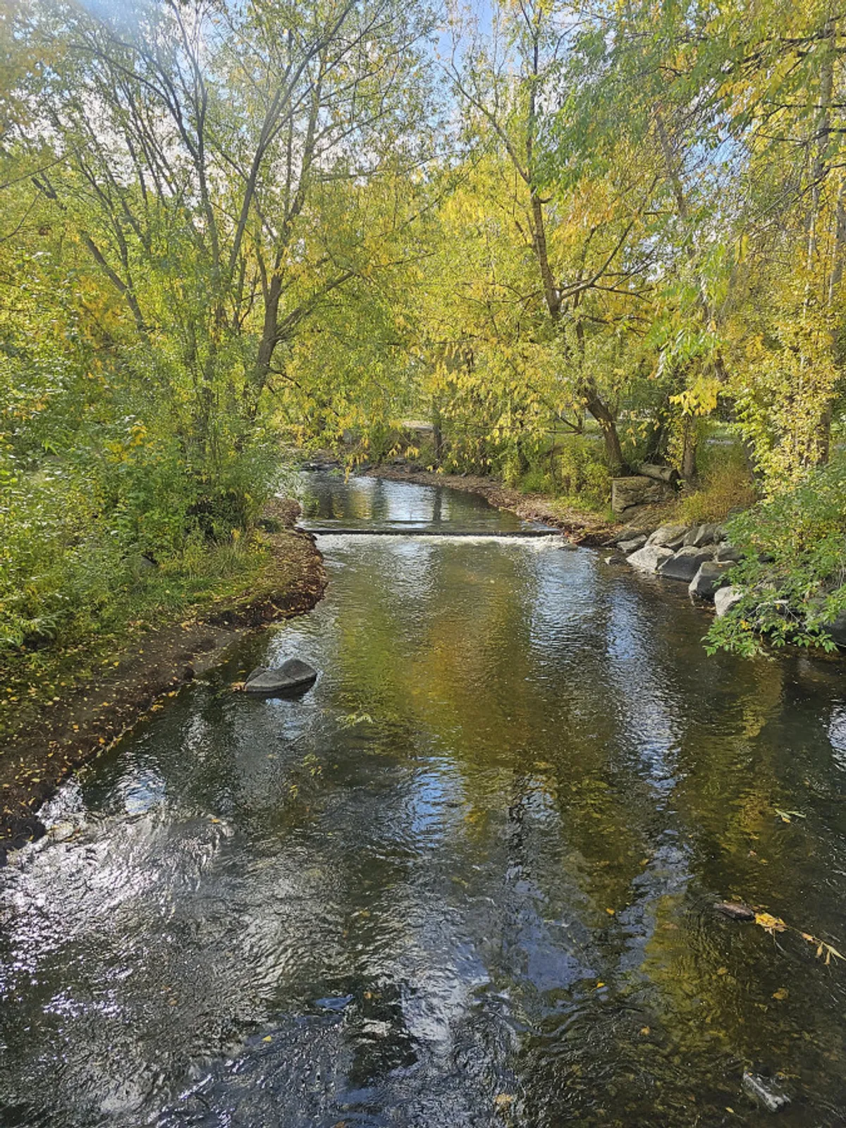 A tranquil river scene featuring flowing water, surrounding trees, and rocks in the river, evoking a peaceful natural setting ideal for leisurely walks, picnics, or simply enjoying the outdoors with a pet.