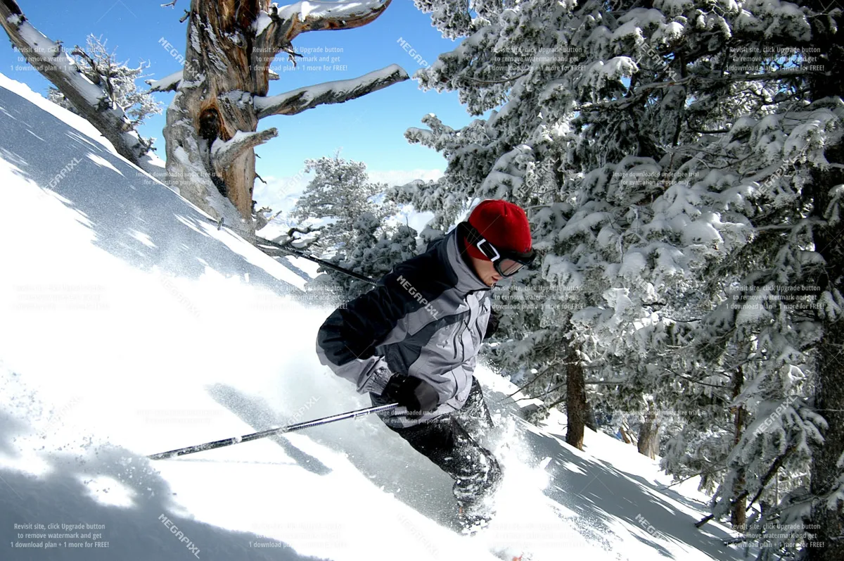 A skier in motion carves down a snowy slope with trees in the distance, capturing the excitement and movement of downhill skiing or snowboarding. The bright winter atmosphere and the skier's dynamic pose highlight the thrill of the activity.